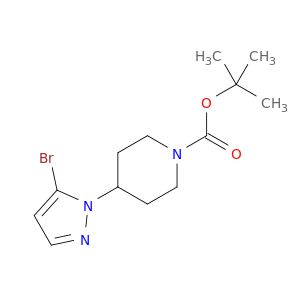 BG38588