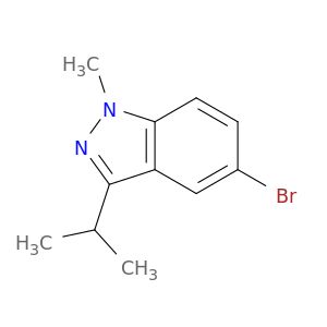 BF97558