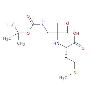 BM11635