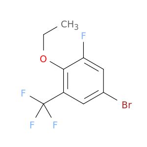 BF09917