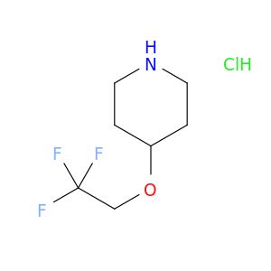BH67398
