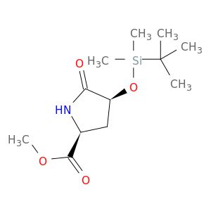 AY07669
