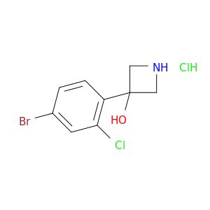 BL55819