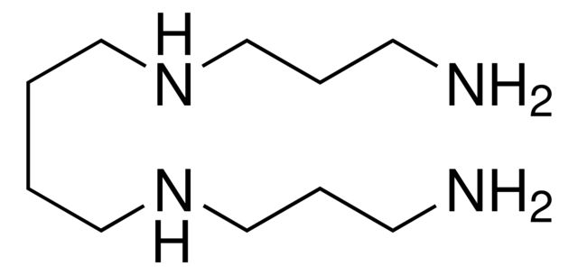 55513