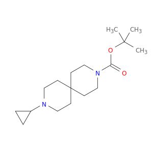 AY24584