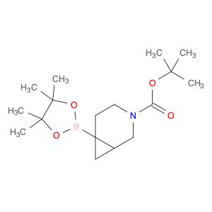 AR01ELPF