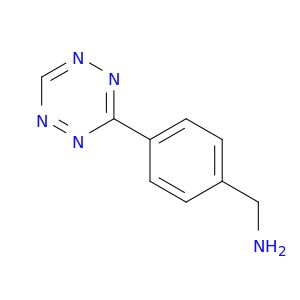 AB55094