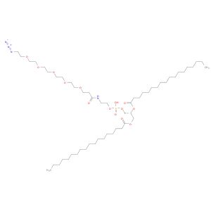 AR019F2Y