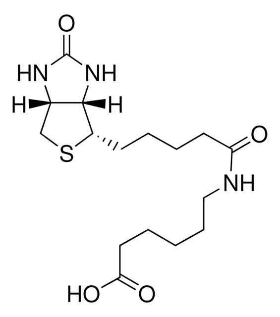 14407