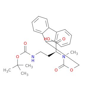 AY11905