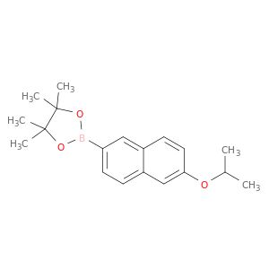 AR022JBY