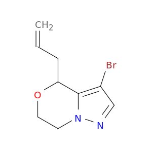 BO21137