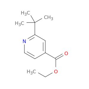 BM16245