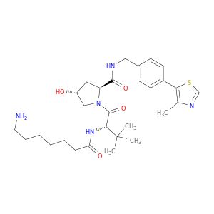 AR01V81X