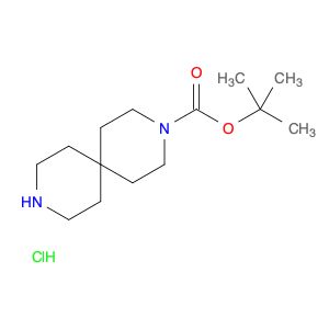 AR002OPJ