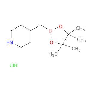 AR0206O9