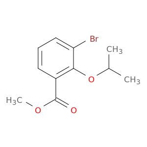 AR021QQ6