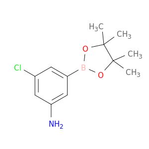 AE63876