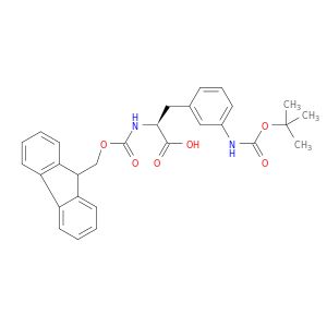 AY24958