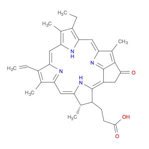 AR002P58