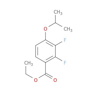 AR022JFP