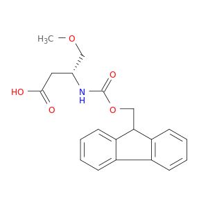 AY03924