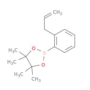 AY23843