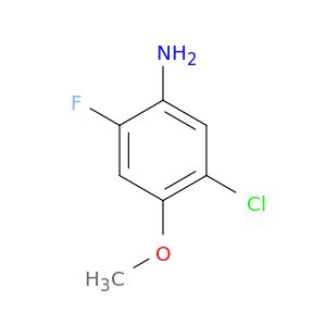 AY07461