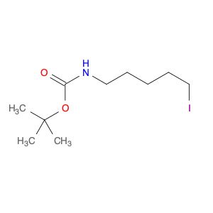 AR00JR11