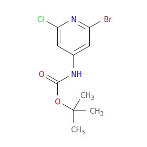 AR02LP8Q