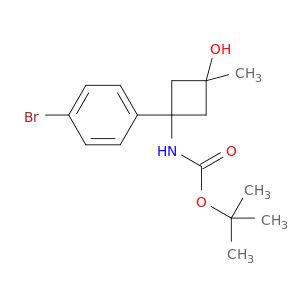 BM55024