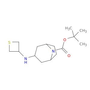 BM57024