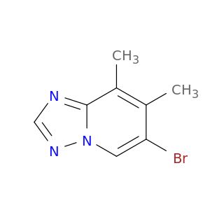 BG09924