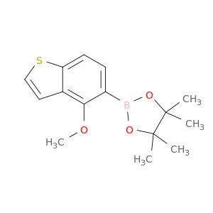 AR028OC1