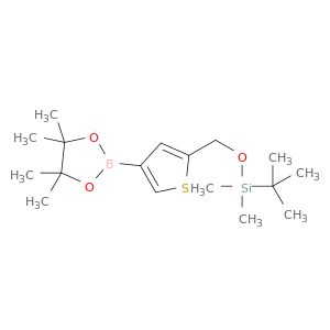 AR024HGH