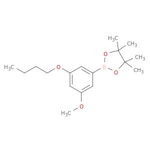 AR024IK9