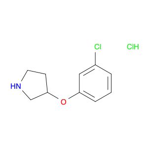 AR002W82