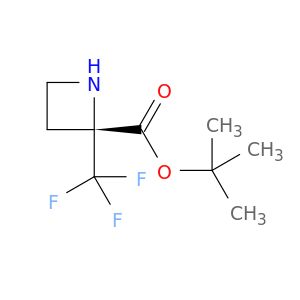 BF34364