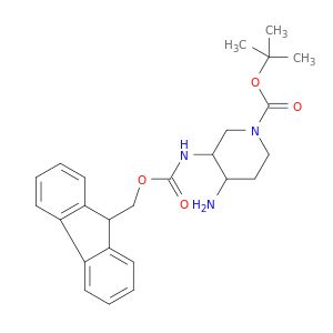 BO61558