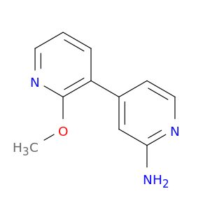 BM13646