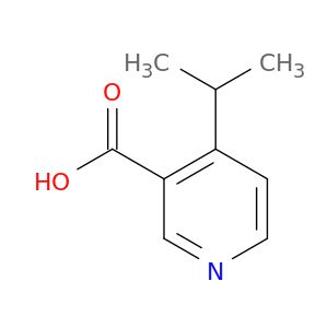 BO52562