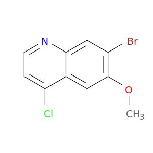 BL81696