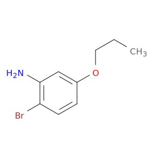 BM29047