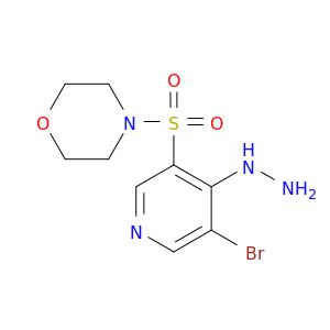 BM20595