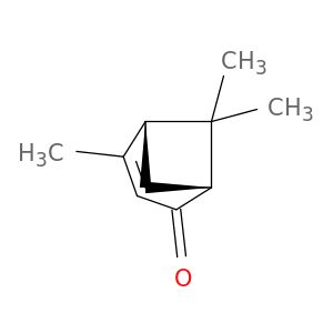 AE81146