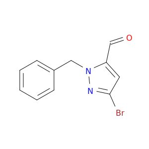BH65491