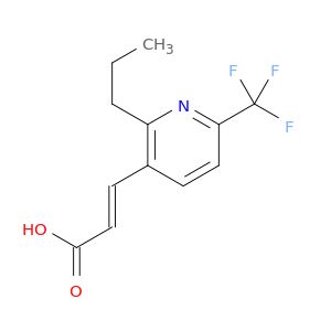 AE28979