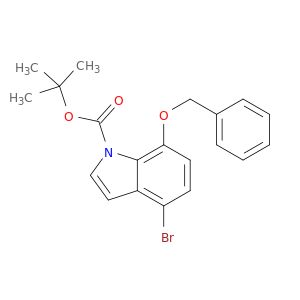 BO28881
