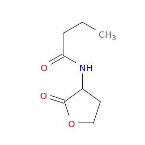 AY06573