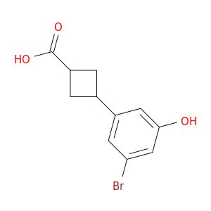 BL47445